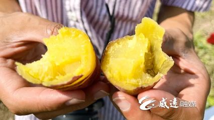 1元1斤！線上線下銷售火！威遠秋季美味火爆上市！