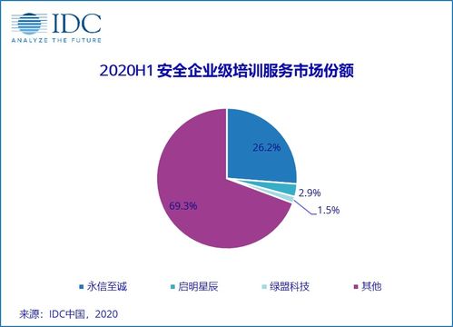 2020上半年中國IT安全服務市場穩健增長，市場規模達40.23億元